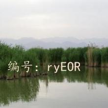 ȫ