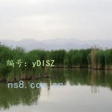 ȫ