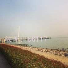 ˲